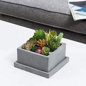 MyGift Modern Gray Concrete Square Planter - Succulent Plant Pot with Bottom Drainage Hole and Removable Drip Tray Saucer