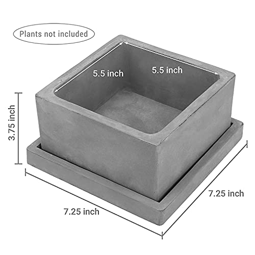 MyGift Modern Gray Concrete Square Planter - Succulent Plant Pot with Bottom Drainage Hole and Removable Drip Tray Saucer