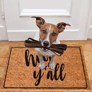 NINAMAR Door Mat Hey Y'all Natural Coir – 29.5 x 17.5 inch