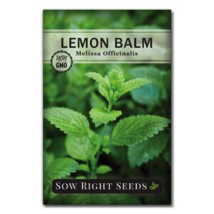 sow right seeds - lemon balm seeds for planting - non-gmo heirloom packet with instructions - easy to grow herb garden - aromatic medicinal herb and great for herbal teas - perennial mint relative (3)