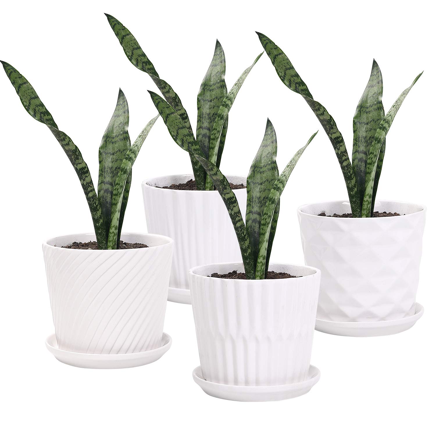 sietpoek Plant Pots - 5.5 Inch Cylinder Ceramic Planters with Connected Saucer, Pots for Succuelnt and Little Snake Plants, Set of 4, White