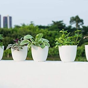 Mkono 4.5" Plastic Succulent Planters with Saucers, Indoor Set of 5 Nursery Pots Modern Flower Plant Pot with Drainage for All Small House Plants, Herbs, Foliage Plant, and Seedling, Cream White