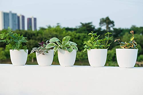 Mkono 4.5" Plastic Succulent Planters with Saucers, Indoor Set of 5 Nursery Pots Modern Flower Plant Pot with Drainage for All Small House Plants, Herbs, Foliage Plant, and Seedling, Cream White