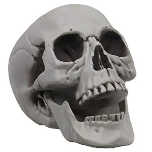 mokry party life size skeleton skull for halloween decor graveyard outdoor white