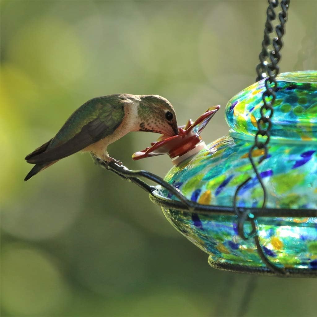 Nature's Way Bird Products WWGHF7 Hand Blown Spring Rain Illuminated Hummingbird Dish Feeder