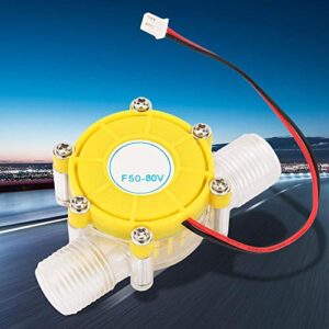 F50 Regulated Dc Micro Hydroelectric Generator Micro-hydro DC Water Flow Pump Turbine Hydroelectric Power Energy Generator(80V)