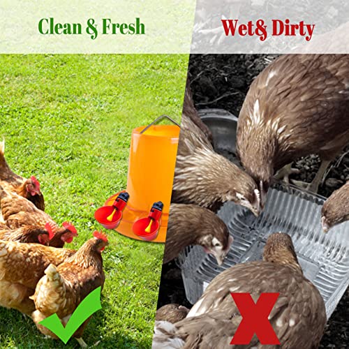 10pcs Chicken Waterer - Poultry Waterer Chicken Water Cups Automatic Nipple Cup Kit for Chicken Quail Drinker