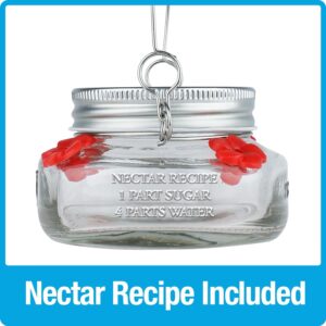 Nature's Way Bird Products MJF1 Nature's Way Mason Jar Hummingbird Dish Feeder, Clear 4" dia.