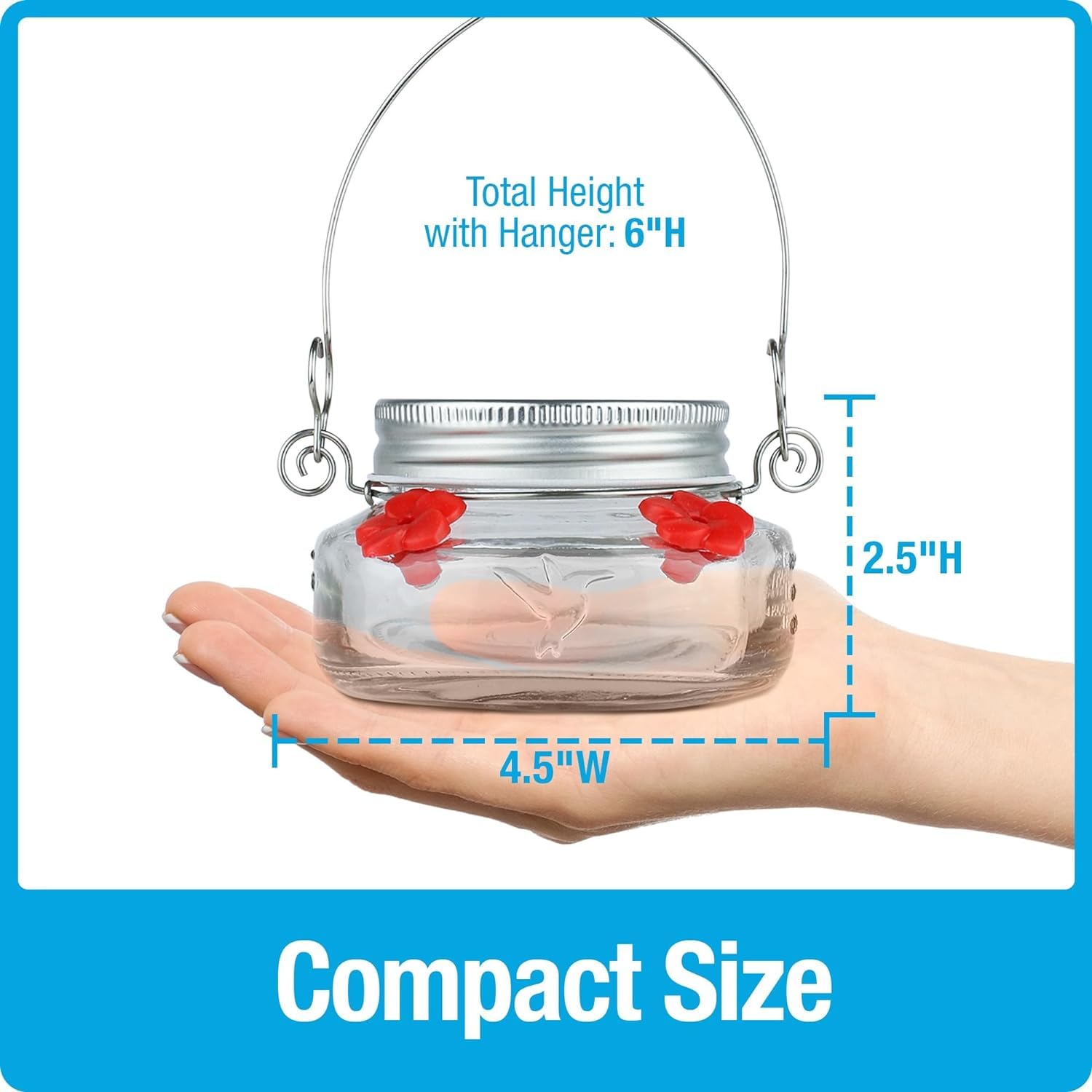 Nature's Way Bird Products MJF1 Nature's Way Mason Jar Hummingbird Dish Feeder, Clear 4" dia.