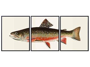 trout wall art print set x3 - vintage home decor for beach or lake house, living room, den, man cave, office, bedroom - the perfect affordable gift for fisherman, fishermen - 8x10 photo - unframed