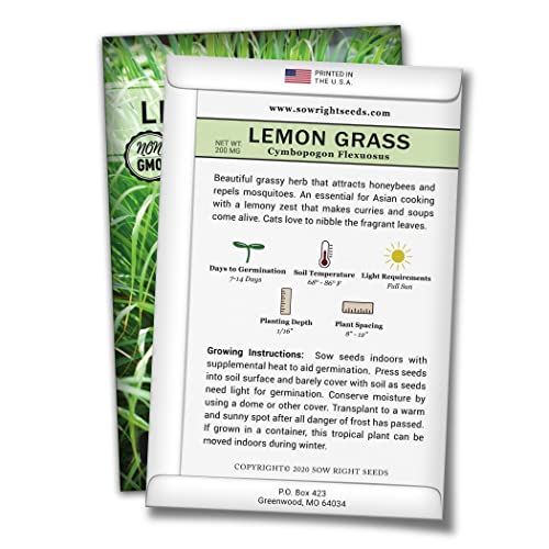 Sow Right Seeds - Lemon Grass Seed for Planting - Non-GMO Heirloom Packet with Instructions for Easy Planting and Growing an Herb Garden - Indoor or Outdoors - Delicious Culinary Herb (1)