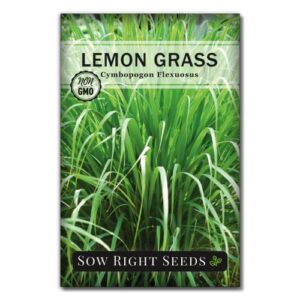 sow right seeds - lemon grass seed for planting - non-gmo heirloom packet with instructions for easy planting and growing an herb garden - indoor or outdoors - delicious culinary herb (1)