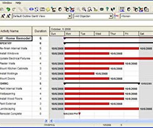 TurboProject Express v7 [PC Download]