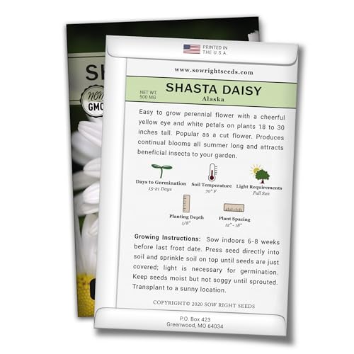 Sow Right Seeds - Shasta Daisy Flower Seeds for Planting - Non-GMO Heirloom Packet with Instructions - Attract Butterflies and Excellent for Cutting - White Blossom with Yellow Centers (1)