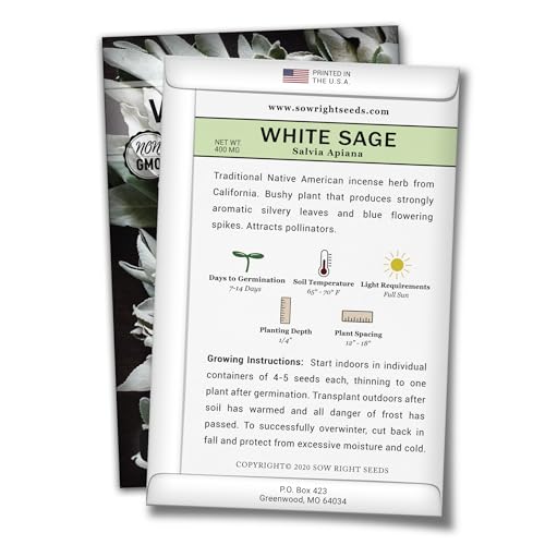 Sow Right Seeds - White Sage Seed for Planting - Non-GMO Heirloom Packet with Instructions for Planting and Growing a Home Herb Garden - Indoors or Outdoors - Make Your Own Herbal Incense (1)