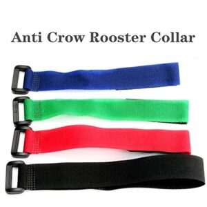 Minelife 4 Pack No Crow Rooster Collar, Chicken Collar Anti-Hook Noise Free Neckband No Crow Noise Neck Belt for Roosters - Prevent Chickens from Screaming, Disturbing Neighbors