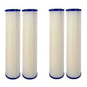 cfs complete filtration services est.2006 replacement 0.35 sub-micron post-filter for whole house water filter systems