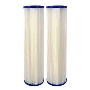 cfs complete filtration services est.2006 2 pack of replacement 0.35 sub-micron post-filter for whole house water filter systems
