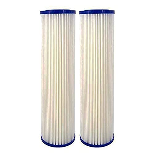 CFS COMPLETE FILTRATION SERVICES EST.2006 2 Pack of Replacement 0.35 Sub-micron Post-Filter for Whole House Water Filter Systems