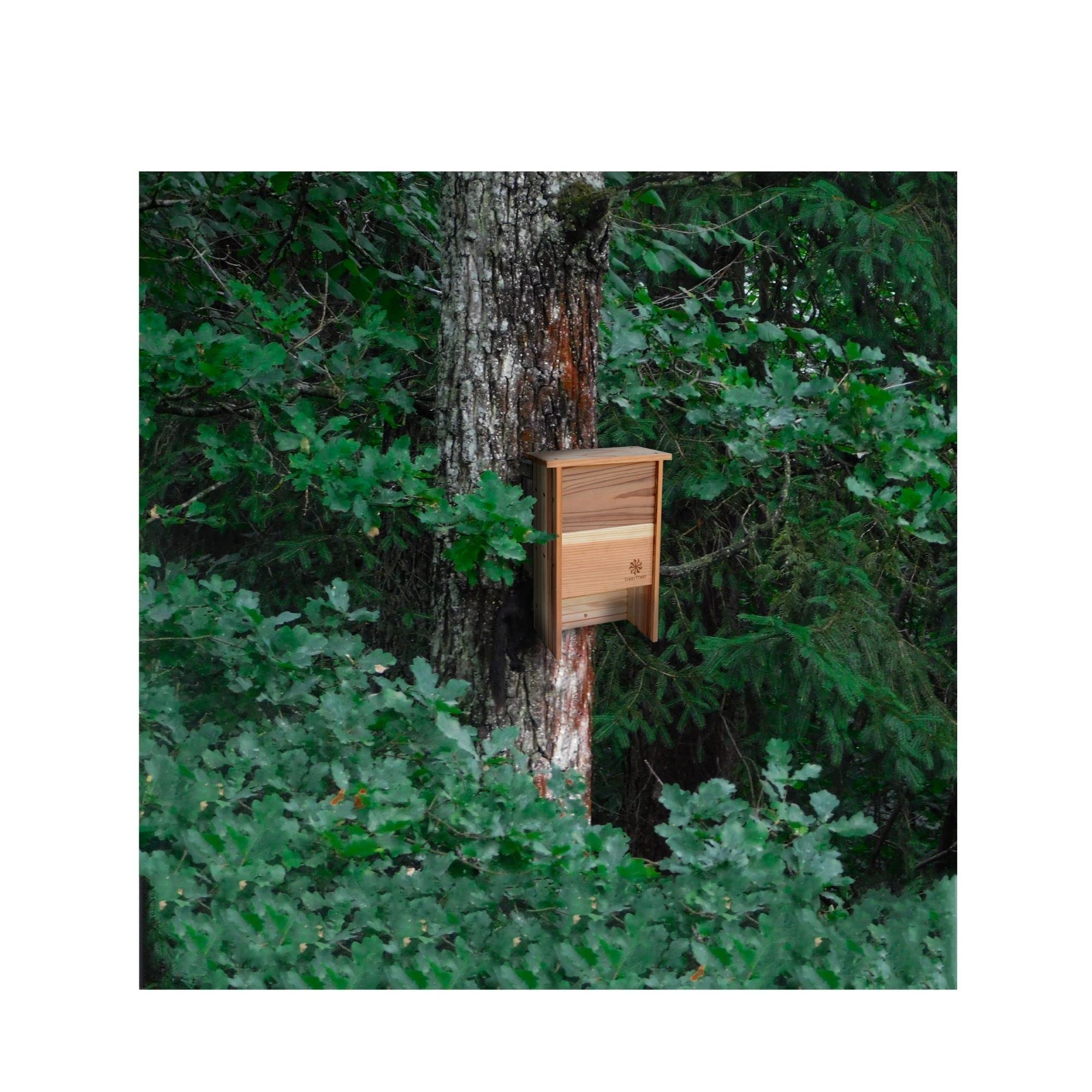 Bat Houses for Outdoors with Improved Airflow to Both Chambers - Bat Boxes for Outside with Easy Grip Surfaces- Large Bat House for a Safe Nesting Environment - Weather and Insect Resistant Cedar