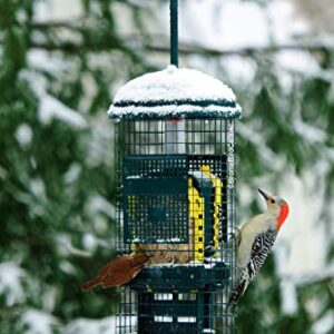 Squirrel Buster Suet Squirrel-proof Suet Bird Feeder w/2 Suet Cake Trays, 2 Crumb Ports, Mess-free Suet Loading,Green