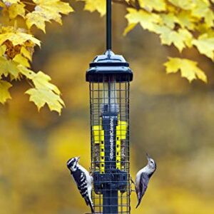 Squirrel Buster Suet Squirrel-proof Suet Bird Feeder w/2 Suet Cake Trays, 2 Crumb Ports, Mess-free Suet Loading,Green