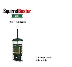 Squirrel Buster Suet Squirrel-proof Suet Bird Feeder w/2 Suet Cake Trays, 2 Crumb Ports, Mess-free Suet Loading,Green