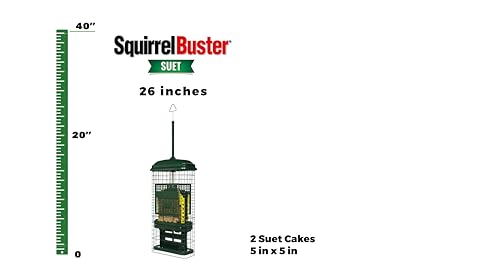 Squirrel Buster Suet Squirrel-proof Suet Bird Feeder w/2 Suet Cake Trays, 2 Crumb Ports, Mess-free Suet Loading,Green