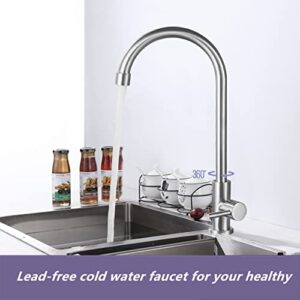 Cold Water Faucet Only,Brushed Nickel Stainless Steel Single Handle Single Hole Faucet High Arc Cold Water Sink Faucet for Kitchen,Outdoor, Garden and Bar.(Free Cold Water Supply Lines)