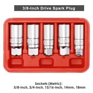 CASOMAN 3/8-Inch Drive Spark Plug Socket Set, 6-Point, 5/8-Inch, 3/4-Inch, 13/16-Inch, 14mm, 18mm, 5-Piece Set