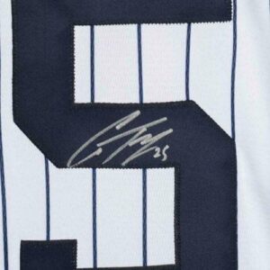 GLEYBER TORRES Autographed New York Yankees Pinstripe Jersey FANATICS - Autographed MLB Jerseys