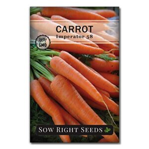 sow right seeds - imperator 58 carrot seed for planting - non-gmo heirloom packet with instructions to plant a home vegetable garden - indoors or outdoors - long variety, super sweet (1)