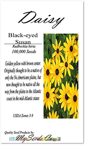 Big Pack - (100,000+) Black Eyed Susan Flower Seeds - Self Reseeds Rudbeckia hirta - Perfect Golden Cut Flowers - Flower Seeds by MySeeds.Co (Big Pack - Black Eyed Susan)