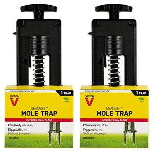 deadset mole trap
