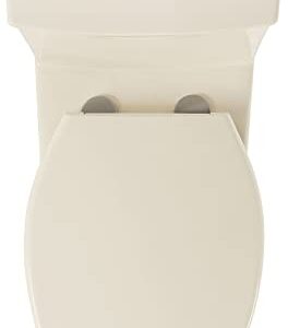 Swiss Madison Well Made Forever SM-1T117 Classe One Piece Toilet Dual Flush 0.8/1.28 gpf, Glossy White