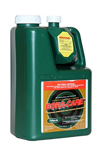 Bora-Care with Mold-Care - 1 jug (1 Gallon)