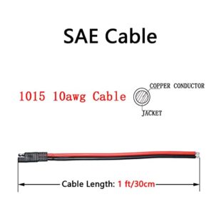 LIXINTIAN 10AWG SAE Connector Extension Cable, (2Pack) SAE Quick Connector Disconnect Plug SAE Automotive Extension Cable, Solar Panel SAE Plug(30cm/1ft)