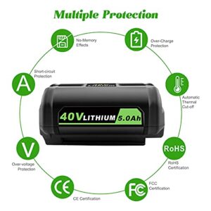 ADVNOVO 40V 5.0Ah Lithium-Ion OP4050A Battery Compatible with Ryobi 40V Battery OP4015 OP4026 OP40201 OP40261 OP4030 OP40301 OP4040 OP4050 OP40501 OP40601