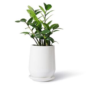 potey white planter pots for plants indoor - 5.3 inch glazed ceramic plant pot with drainage hole & saucer for plants home decor 050301, plants not included