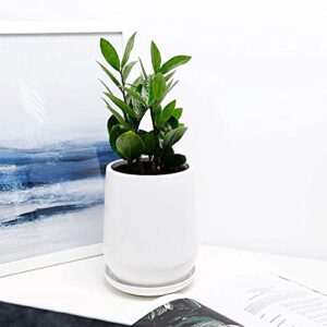 POTEY White Planter Pots for Plants Indoor - 5.3 Inch Glazed Ceramic Plant Pot with Drainage Hole & Saucer for Plants Home Decor 050301, Plants NOT Included