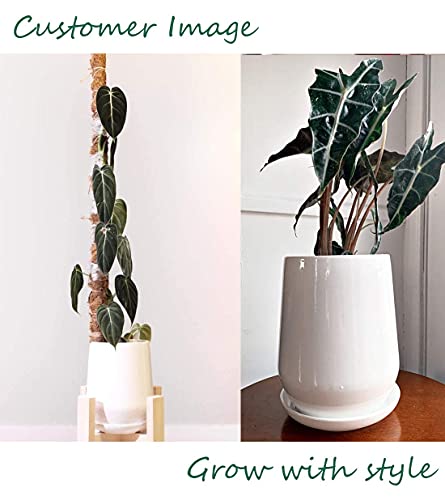 POTEY White Planter Pots for Plants Indoor - 5.3 Inch Glazed Ceramic Plant Pot with Drainage Hole & Saucer for Plants Home Decor 050301, Plants NOT Included