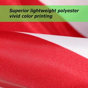 DLORY American Flag 4x6 ft Light Weight Polyester UV Fade Resistant US Flag 2 Brass Grommets Outdoor Indoor Printing 4x6 foot USA Flag