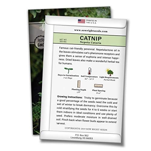 Sow Right Seeds - Catnip Seed for Planting - Popular Herb for Happy Cats - Non-GMO Heirloom Packet with Instructions to Plant and Grow - A Gift for The Cat Lover - Perennial Herb Indoors (1)