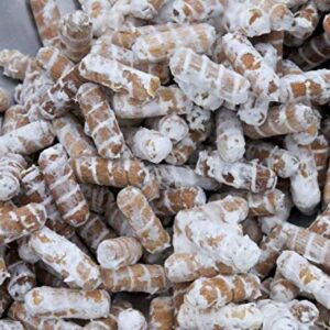 100 Turkey Tail Mushroom Spawn Plugs to Grow Gourmet and Medicinal Mushrooms at Home or commercially.