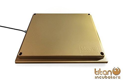 Titan Incubators Chick Heating Plate/Brooder Hen – Heat Lamp Replacement - Up to 25 Chicks – 12” x 12”