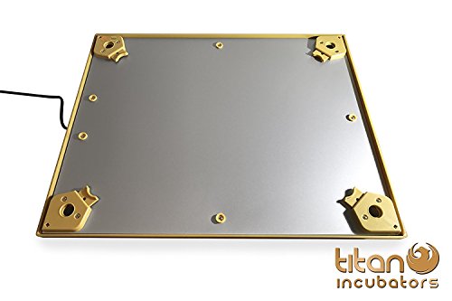 Titan Incubators Chick Heating Plate/Brooder Hen – Heat Lamp Replacement - Up to 25 Chicks – 12” x 12”