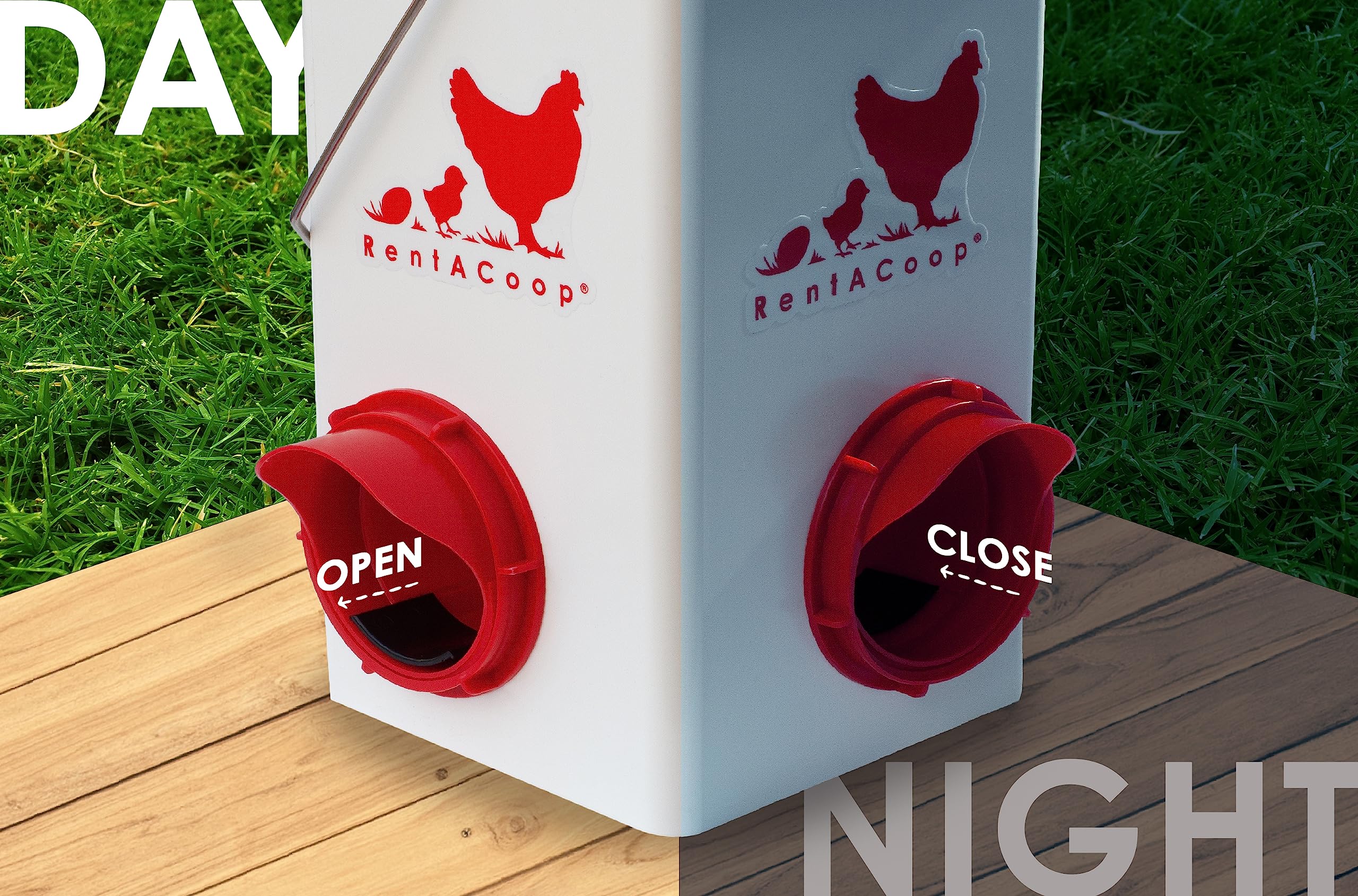 RentACoop Chick2Chicken 5lb 2-Port Feeder - Includes Anti-Roost Lid and Slider Port Covers - Suitable for Quail, Pigeons, Doves, Chicks, and Adult Chickens