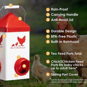 RentACoop Chick2Chicken 5lb 2-Port Feeder - Includes Anti-Roost Lid and Slider Port Covers - Suitable for Quail, Pigeons, Doves, Chicks, and Adult Chickens