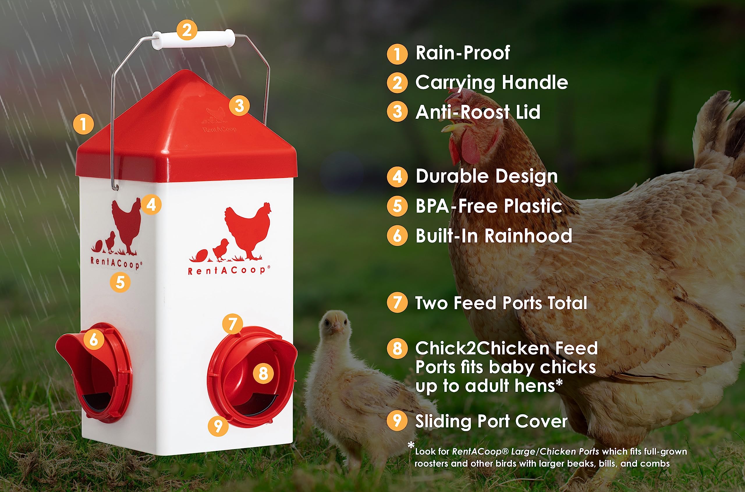 RentACoop Chick2Chicken 5lb 2-Port Feeder - Includes Anti-Roost Lid and Slider Port Covers - Suitable for Quail, Pigeons, Doves, Chicks, and Adult Chickens