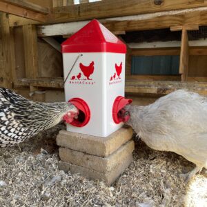 RentACoop Chick2Chicken 5lb 2-Port Feeder - Includes Anti-Roost Lid and Slider Port Covers - Suitable for Quail, Pigeons, Doves, Chicks, and Adult Chickens